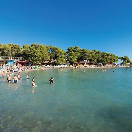 Cozy In With Sauna Drage